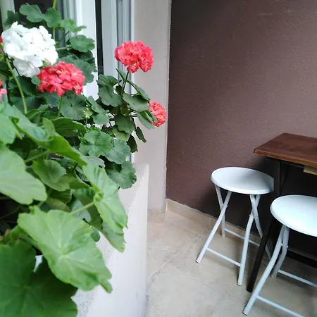 дом крумови Daire *